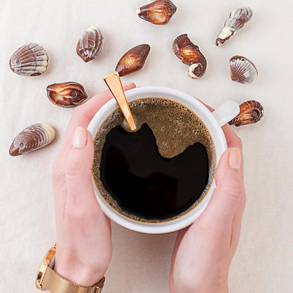 Guylian Belgian Chocolate Chocolates, Chocolate Filled with Dark Chocolate Praline, Chocolate in the shape of Sea Fruits with 72% Cocoa, 20 Units per Box, 225 g